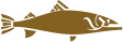 Gold trout