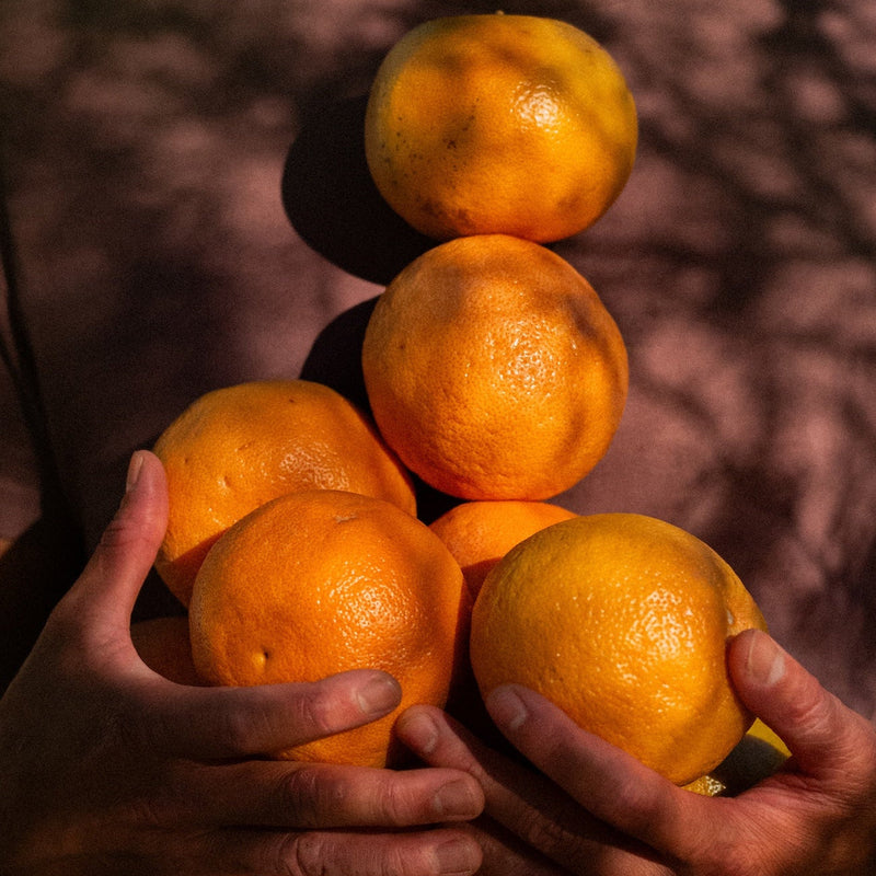 Hands cupping a pyramid stack of five fresh oranges against a blurred brick background
