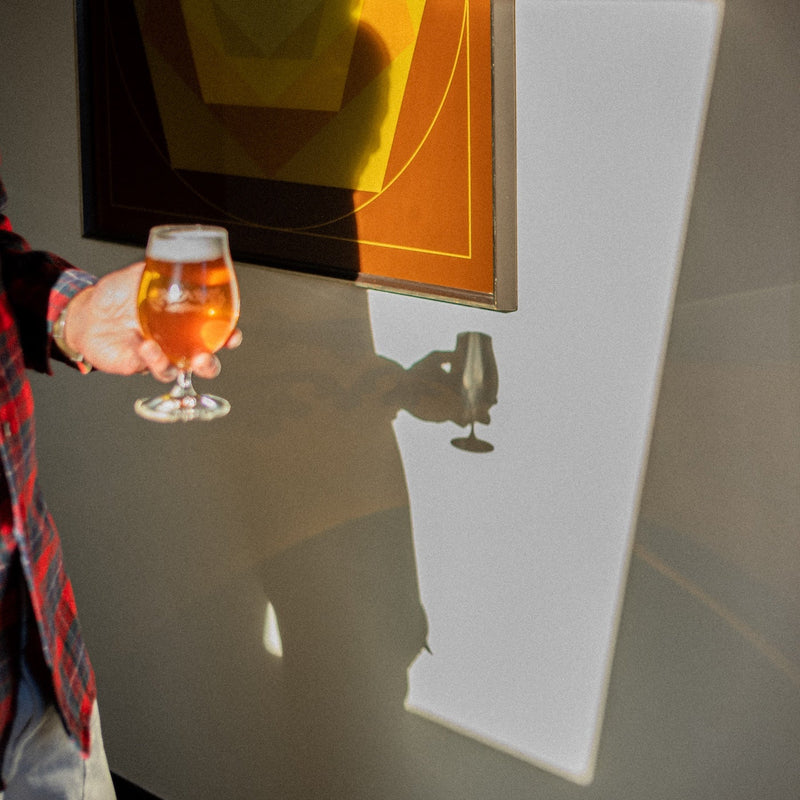 Hand holding amber beer in Spiegelau glass with foam head, casting shadow on white wall