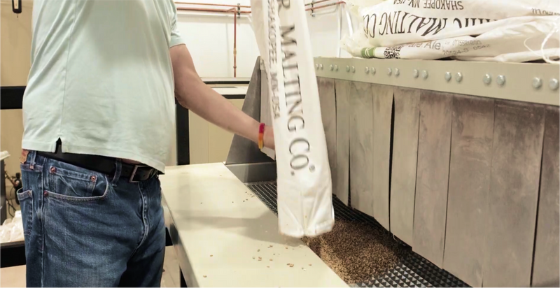 Image of hops being emptied onto a conveyer belt