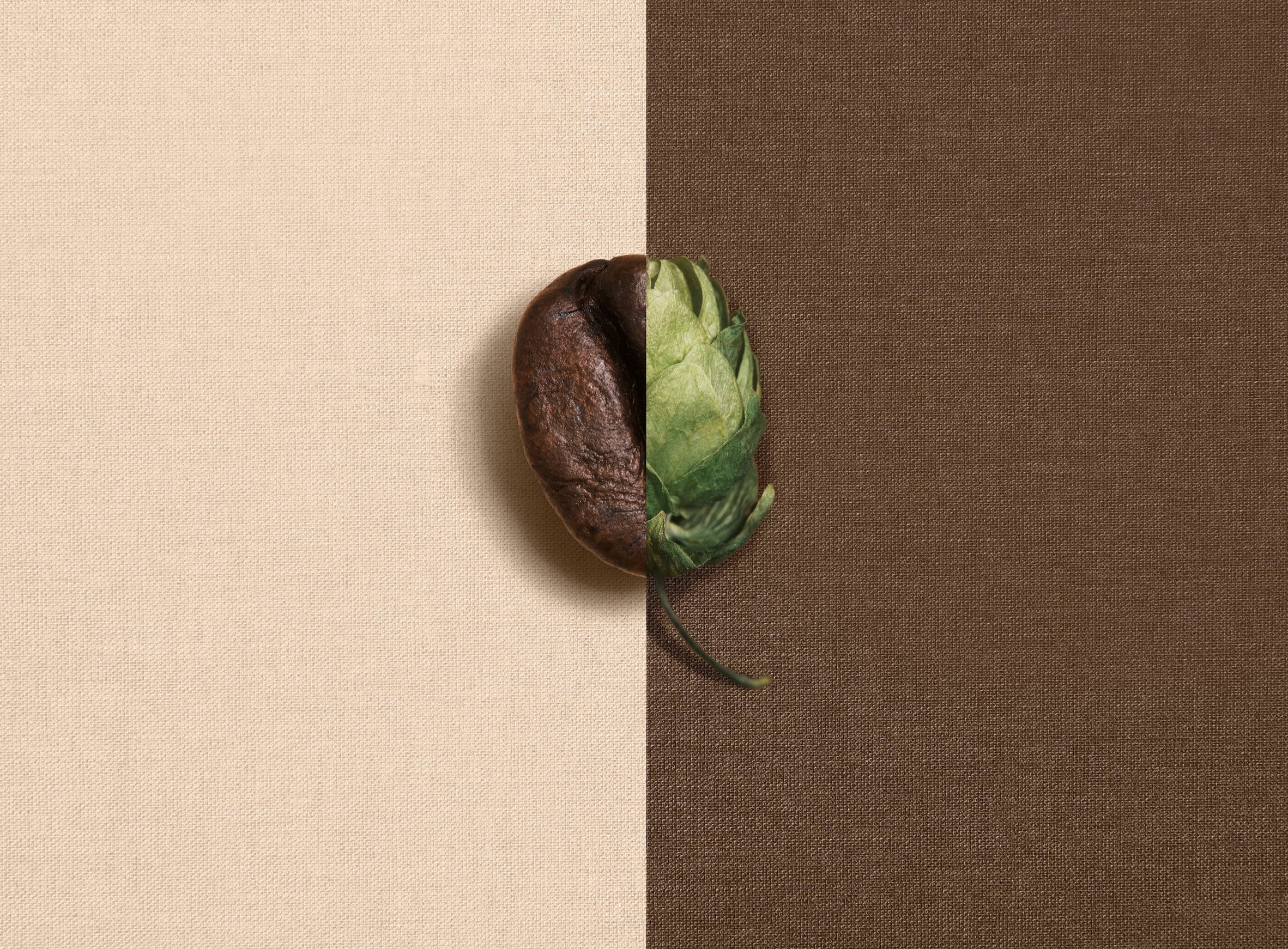 Dried coffee bean and a single hop on a beige and brown fabric background